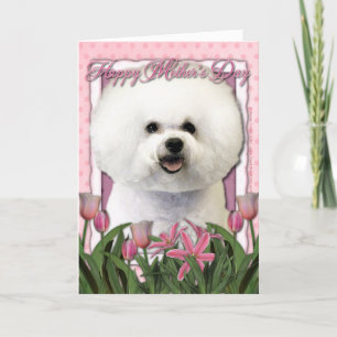 Cartão dia de as mães - Tulipas Rosa - Bichon Frise