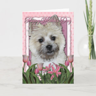 Cartão Dia de as mães - Tulipas Rosa - Cairn - Urso De Te