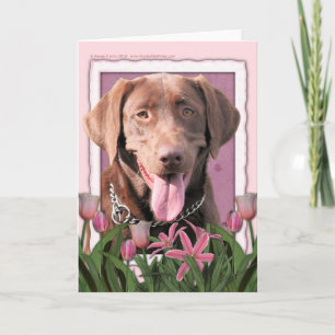 Cartão Dia de as mães - Tulipas Rosa - Labrador - Chocola