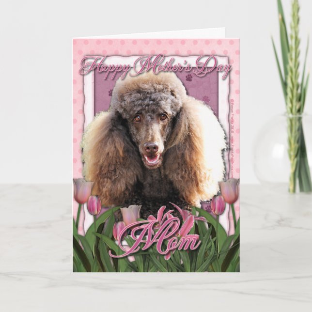 Cartão Dia de as mães - Tulipas Rosa - Poodle - Chocolate (Frente)