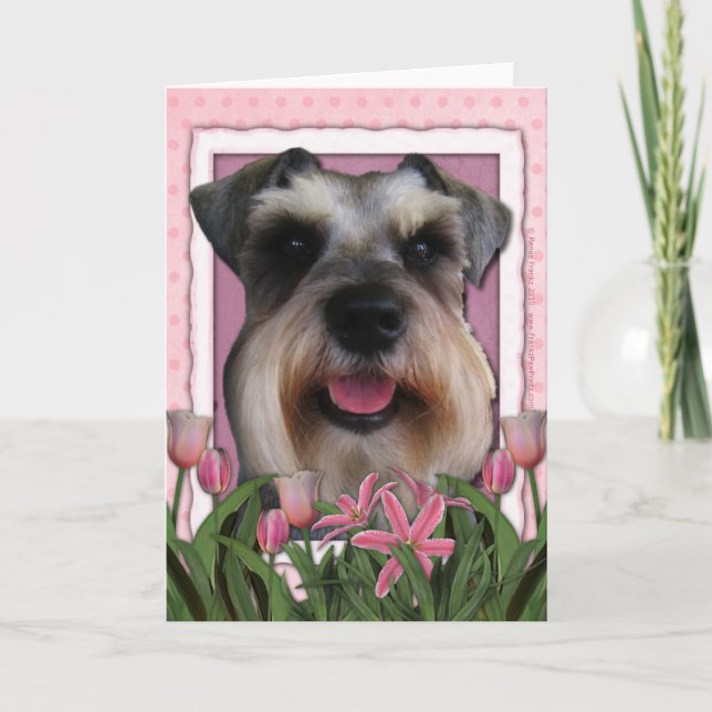 Cartão Dia de as mães - Tulipas Rosa - Schnauzer (Frente)
