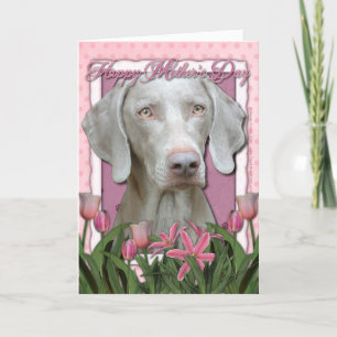 Cartão dia de as mães - Tulipas Rosa - Weimaraner - Olhos