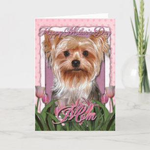 Cartão dia de as mães - Tulipas Rosa - Yorkshire Terrier