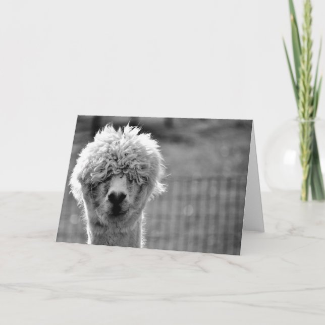 Cartão Dia de Cabelo Mau - Placa Alpaca (Frente)