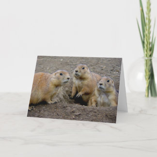 Cartão Dia de Groundhog