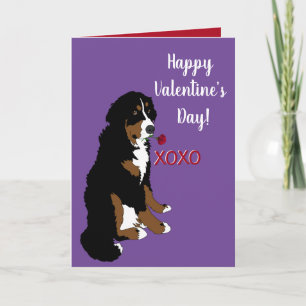 Cartão Dia de os namorados Bernese Mountain Dog