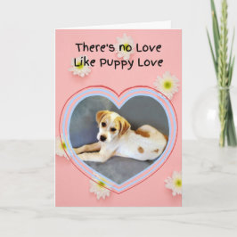 Cartão Dia de os namorados branco de puppy
