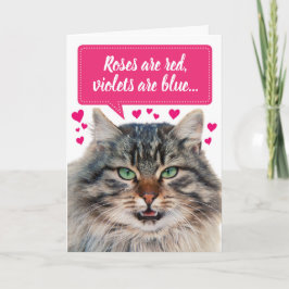 Cartão Dia de os namorados Engraçado Maine Coon Cat Perso