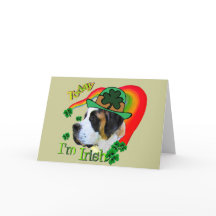 Dia de São Patrício de St Bernard