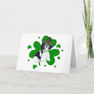Cartão Dia de São Patrício do Shih Tzu