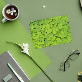 Cartão Dia de São Patrício Floral das Camarões Verdes