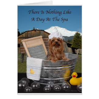 Cartão Dia De Yorkie No Spa