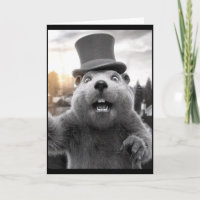 Dia Divertido do Ground Hog Woodchuck Dia Divertid