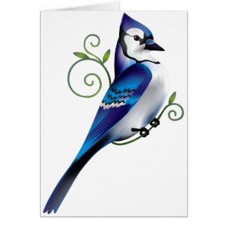 Cartão Dia do Bluejay