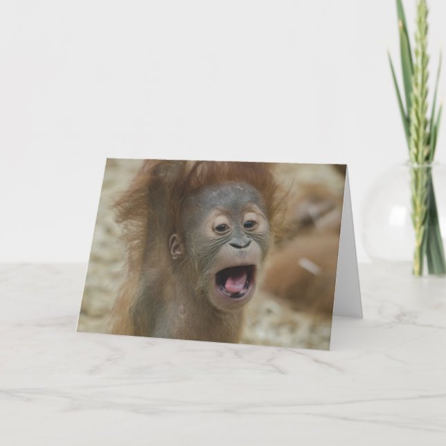 Cartão Dia do Cabelo Mau (Frente)