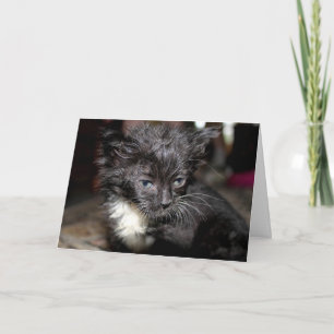 Cartão Dia do Cabelo Mau