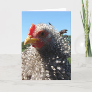 Cartão Dia do Cabelo Mau às Vezes