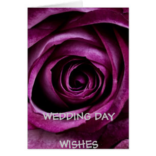 Cartão Dia do Casamento Deseja Rosa Roxo Profundo