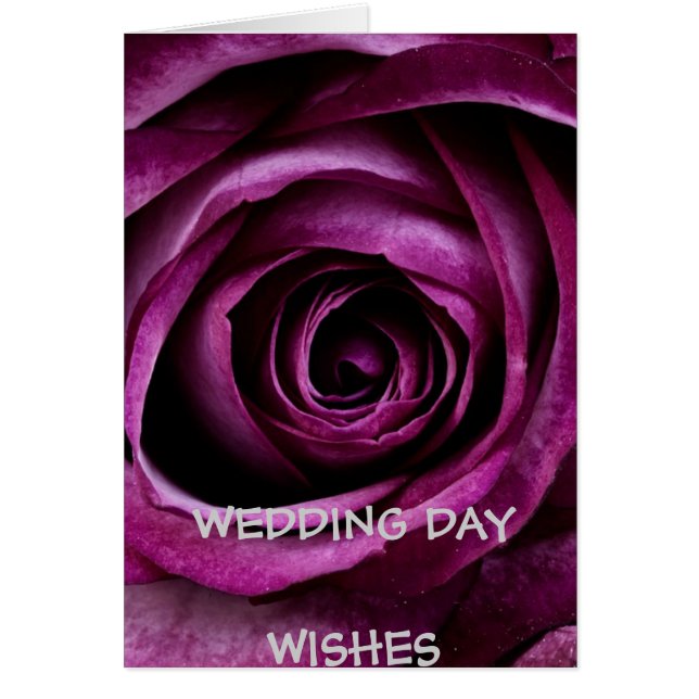 Cartão Dia do Casamento Deseja Rosa Roxo Profundo (Frente)