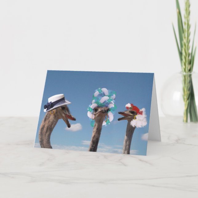Cartão Dia do Chapéu Louco nas Corridas (Frente)
