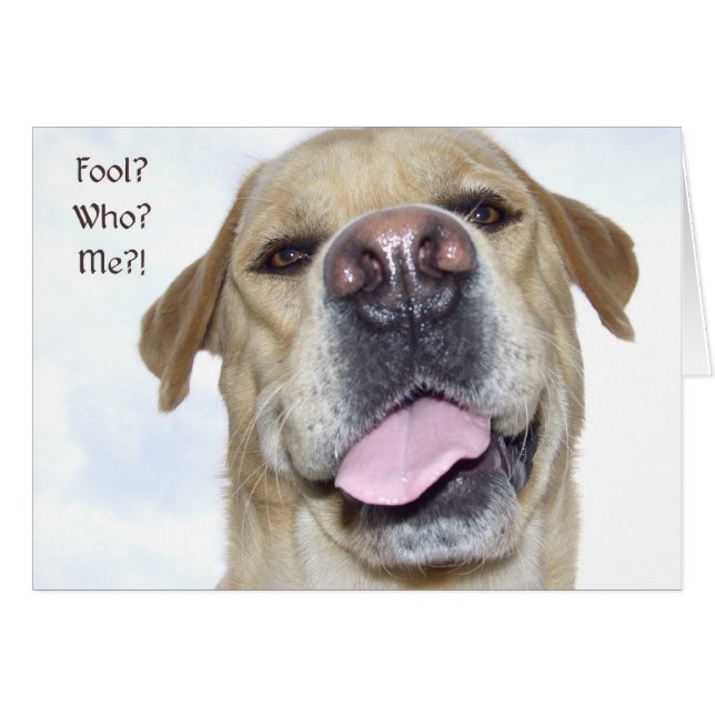 Cartão Dia do tolo de abril (Frente Horizontal)