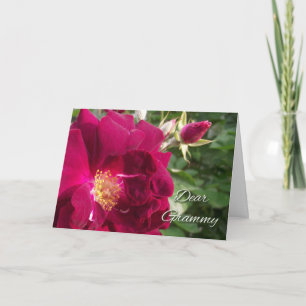 Cartão Dia dos Avós para o Grammy, Rosa vermelha e Bud