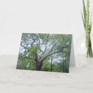 Cartão Dia dos pais feliz