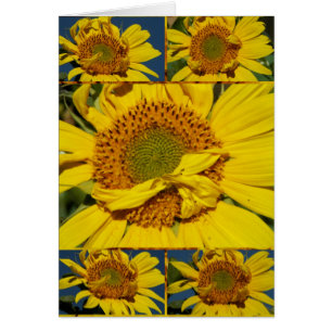 Cartão Dia florido ensolarado de Sunshiney