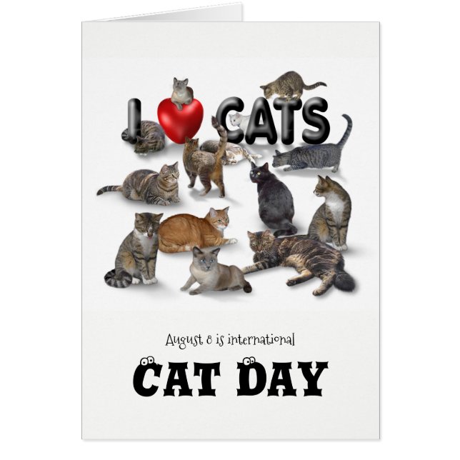 Cartão Dia Internacional da Gata (Frente)