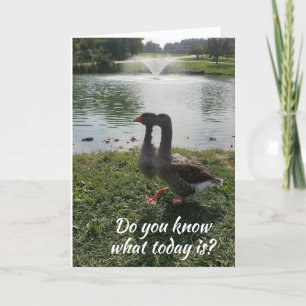 CARTÃO DIA MAIS IMPORTANTE DO ANO "FELIZ ANIVERSÁRIO"