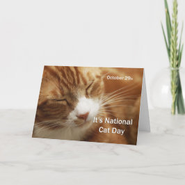 Cartão Dia Nacional da Gata 29 de outubro