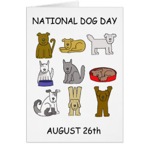 Cartão Dia Nacional do Cachorro 26 de agosto Cães Cartoo