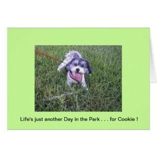 Cartão Dia no Parque