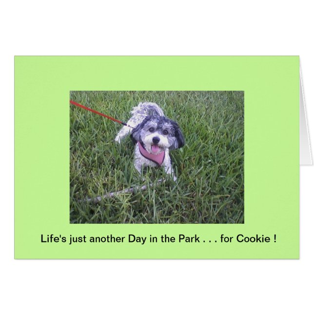 Cartão Dia no Parque (Frente Horizontal)