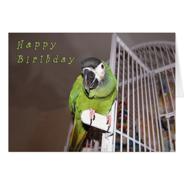 Cartão Diabo galhardo (Frente Horizontal)