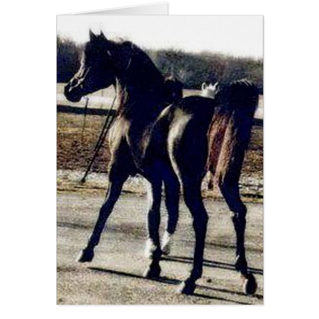 CARTÃO DIADHEM (Frente)