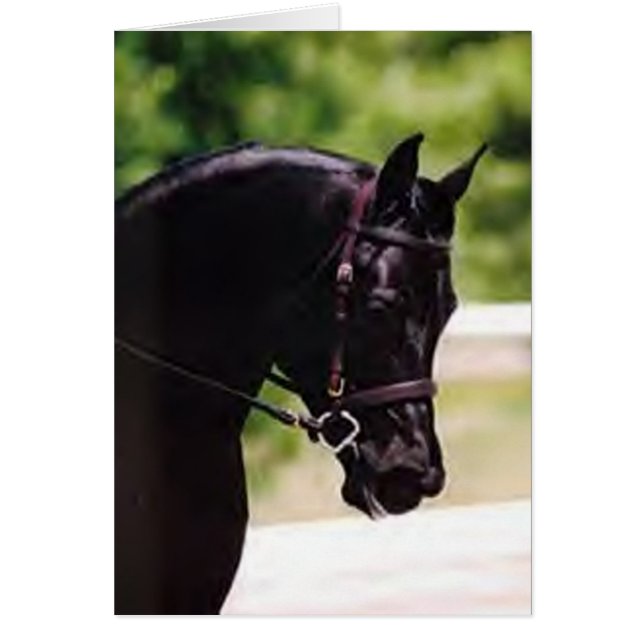 CARTÃO DIADHEM (Frente)