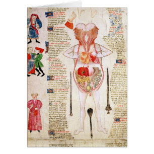 Cartão Diagrama anatômico