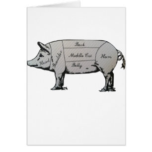 Cartão Diagrama de Suínos