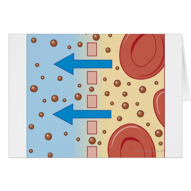 Cartão Diálise renal (Frente Horizontal)