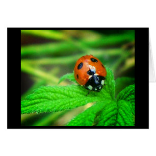 Cartão Dias chuvosos