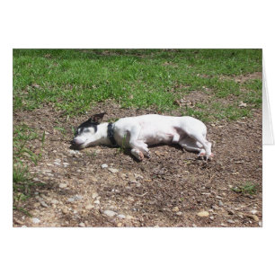 Cartão Dias de cão