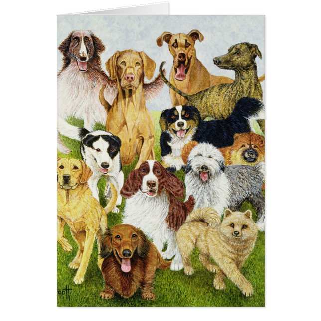 Cartão Dias de cão (Frente)