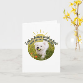 Cartão Dias de Dandelion com Bichon e Bola
