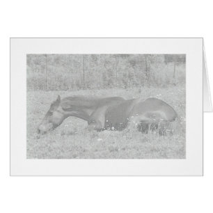 Cartão Dias de verão preguiçosos