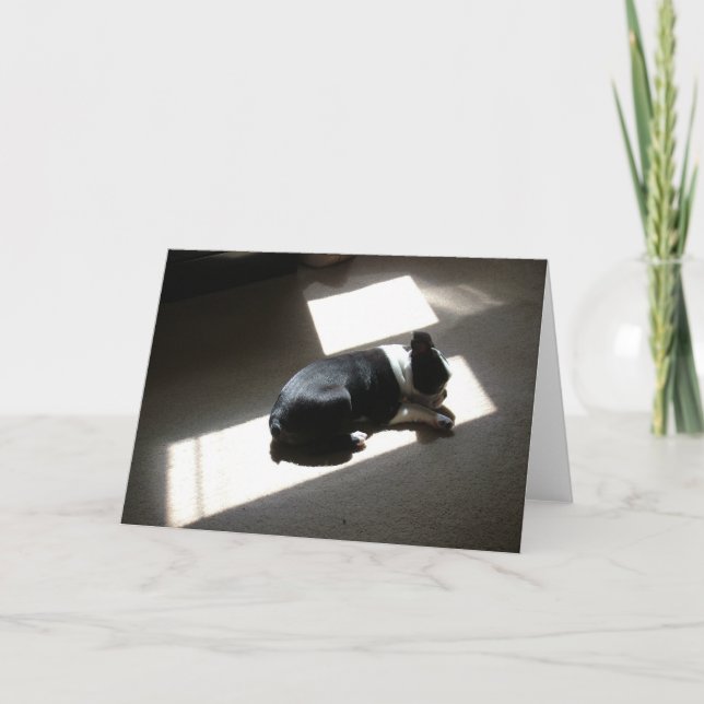 Cartão Dias sós (Frente)