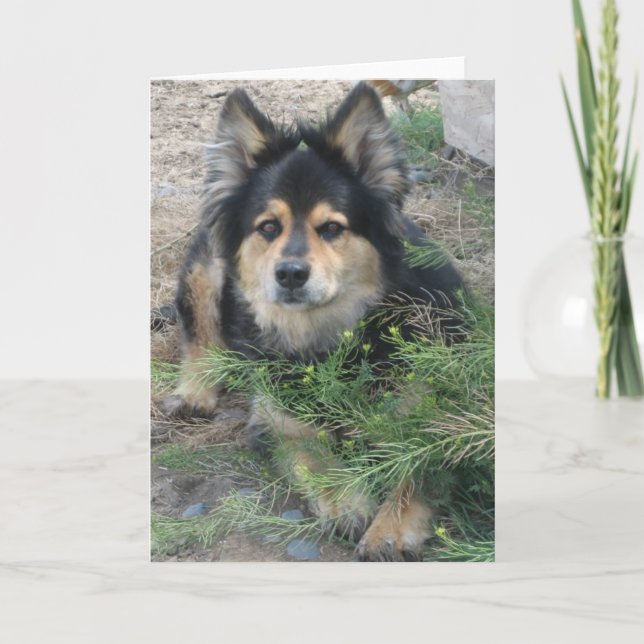 Cartão "Dica" (Frente)