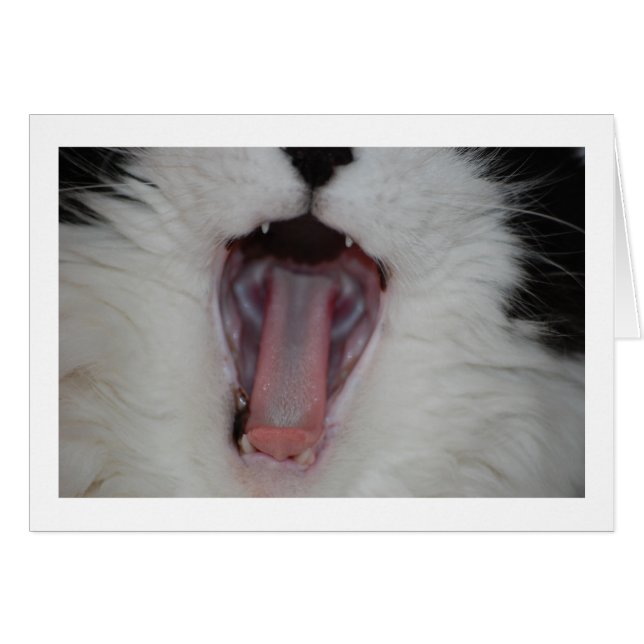 Cartão Diga Ah/Dentista Humor (Frente Horizontal)