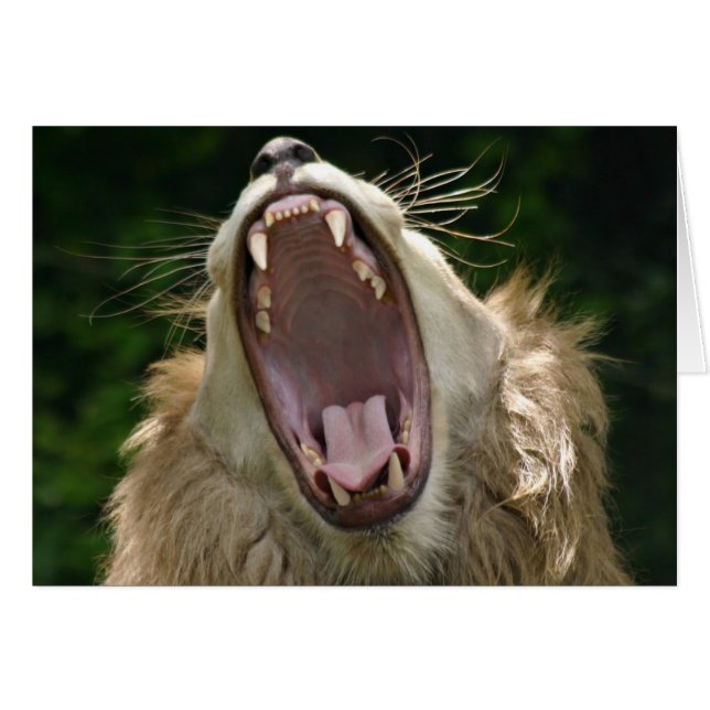 Cartão diga ahhh (Frente Horizontal)