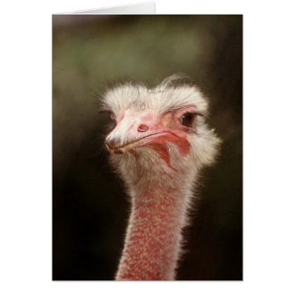 Cartão Diga isso de novo?